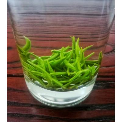 湘金蕊綠茶黃金茶綠茶云臺山茶永州茗茶雙牌特產