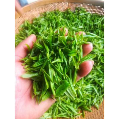 湘金蕊綠茶黃金茶綠茶云臺山茶永州茗茶雙牌特產